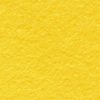 Lemon Yellow WWF002