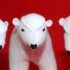 Polar Bear Pattern