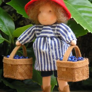 PETER IN BLUEBERRY LAND KIT ANK201