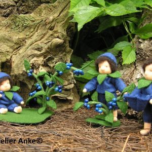 THE BLUEBERRY CHILDREN KIT ANK203