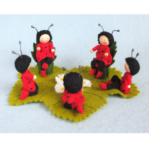 LADYBUG PARTY KIT PPK218