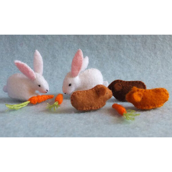 Three Guinea Pigs and Two Bunnies Kit