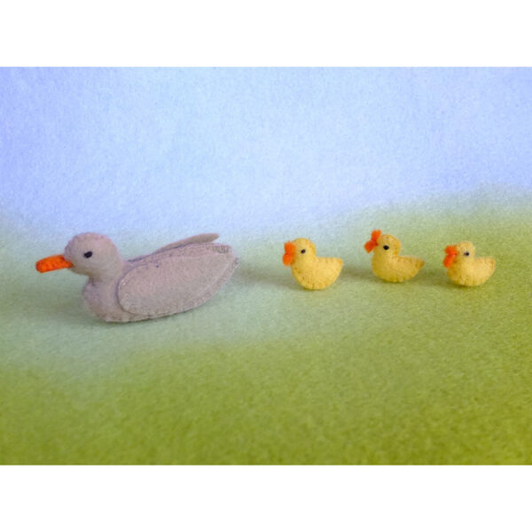 Duck and Ducklings Kit