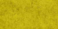 Natural Dandelion yellow dyed 100% wool felt