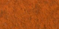 Natural Orange Fox dyed 100% wool felt