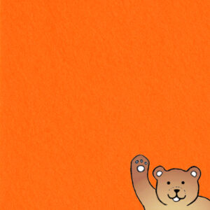 Marmalade orange 100% wool felt Merino craft sheet.